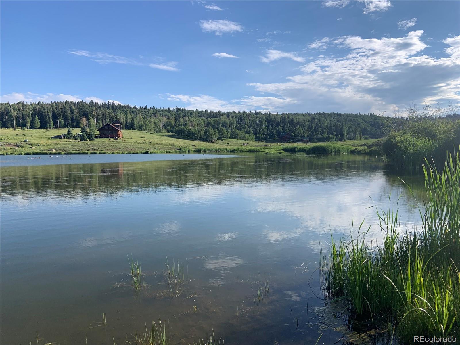205 Lost Valley Drive Creede CO 81130