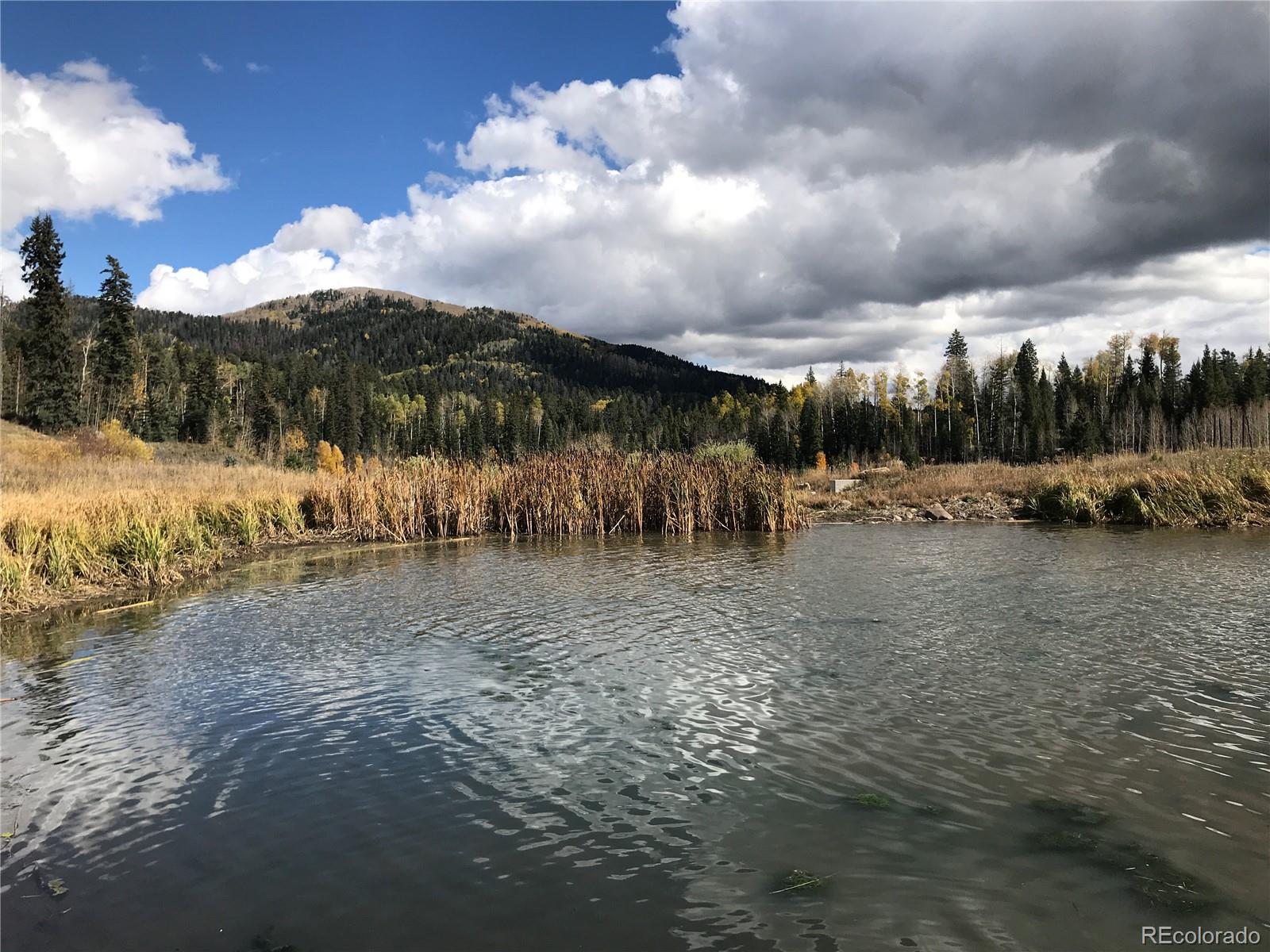 205 Lost Valley Drive Creede CO 81130
