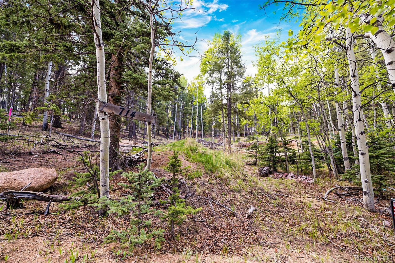 714 Will Stutley Drive Divide CO 80814