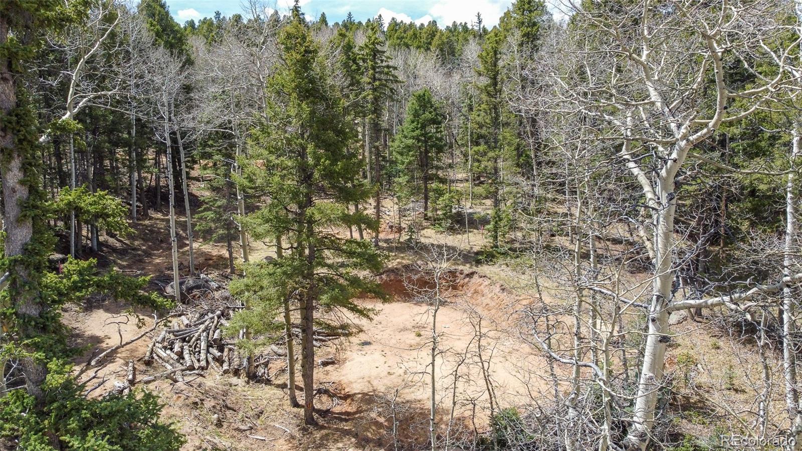 714 Will Stutley Drive Divide CO 80814
