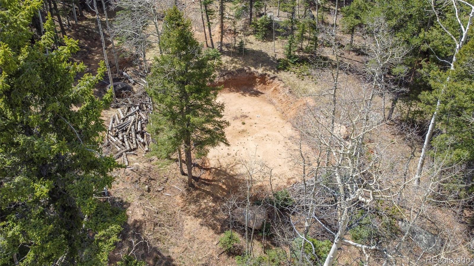 714 Will Stutley Drive Divide CO 80814