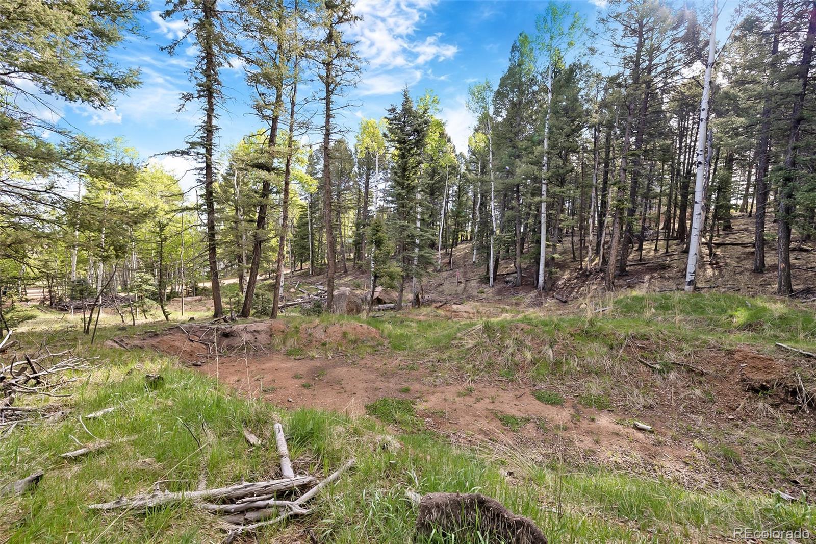714 Will Stutley Drive Divide CO 80814