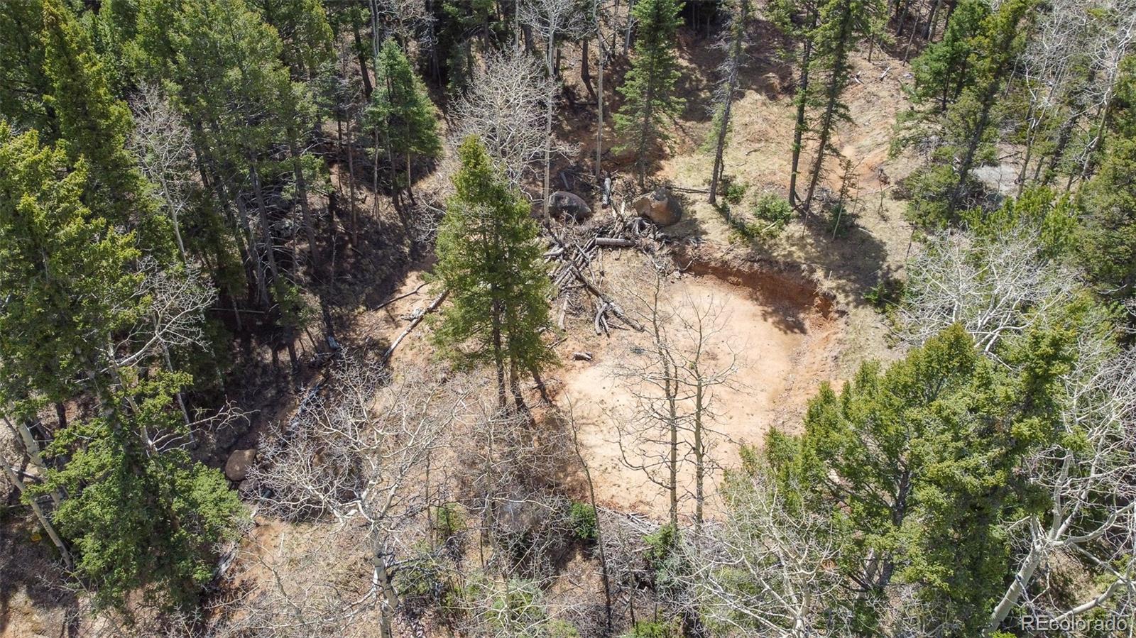 714 Will Stutley Drive Divide CO 80814