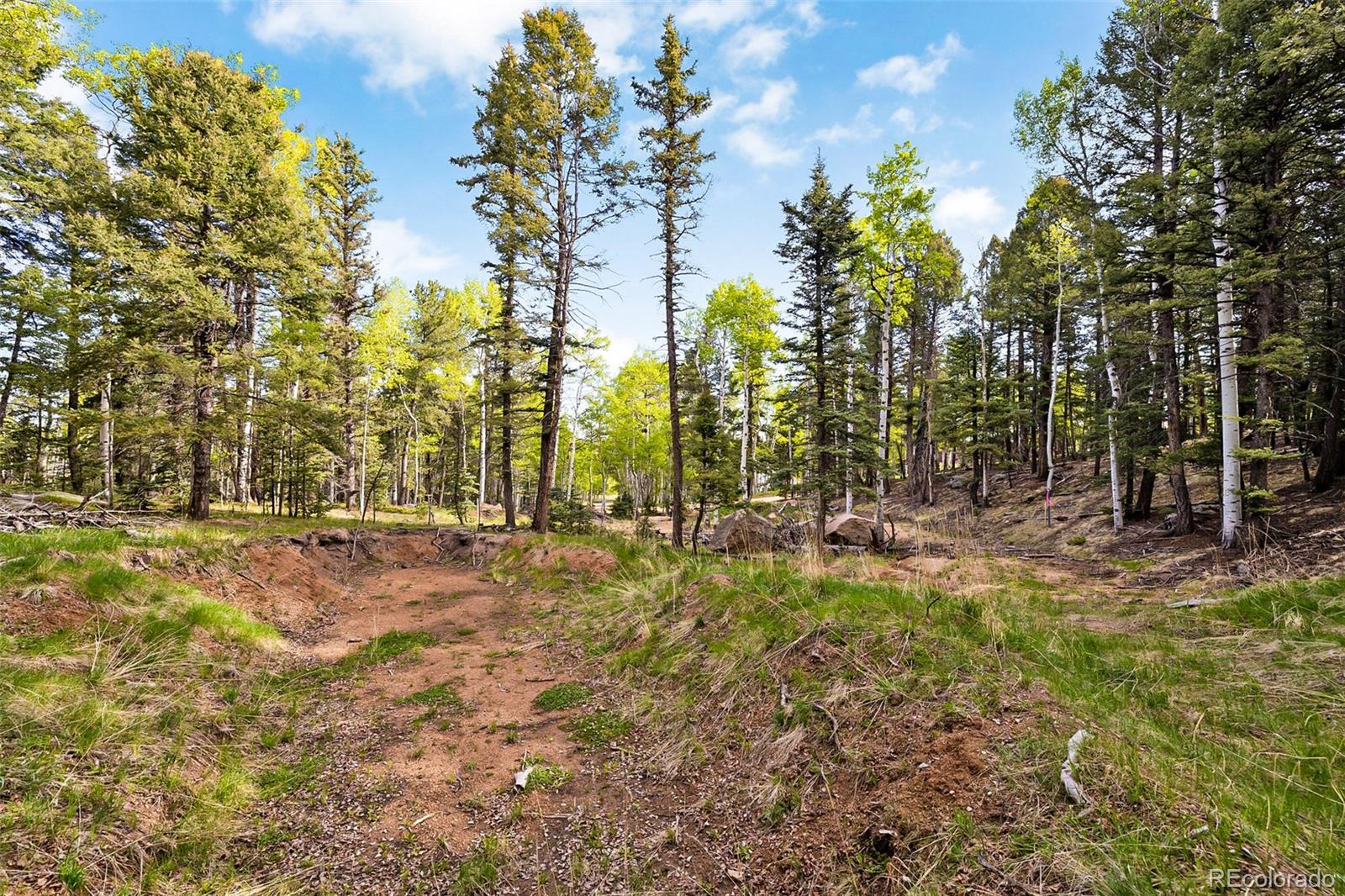 714 Will Stutley Drive Divide CO 80814