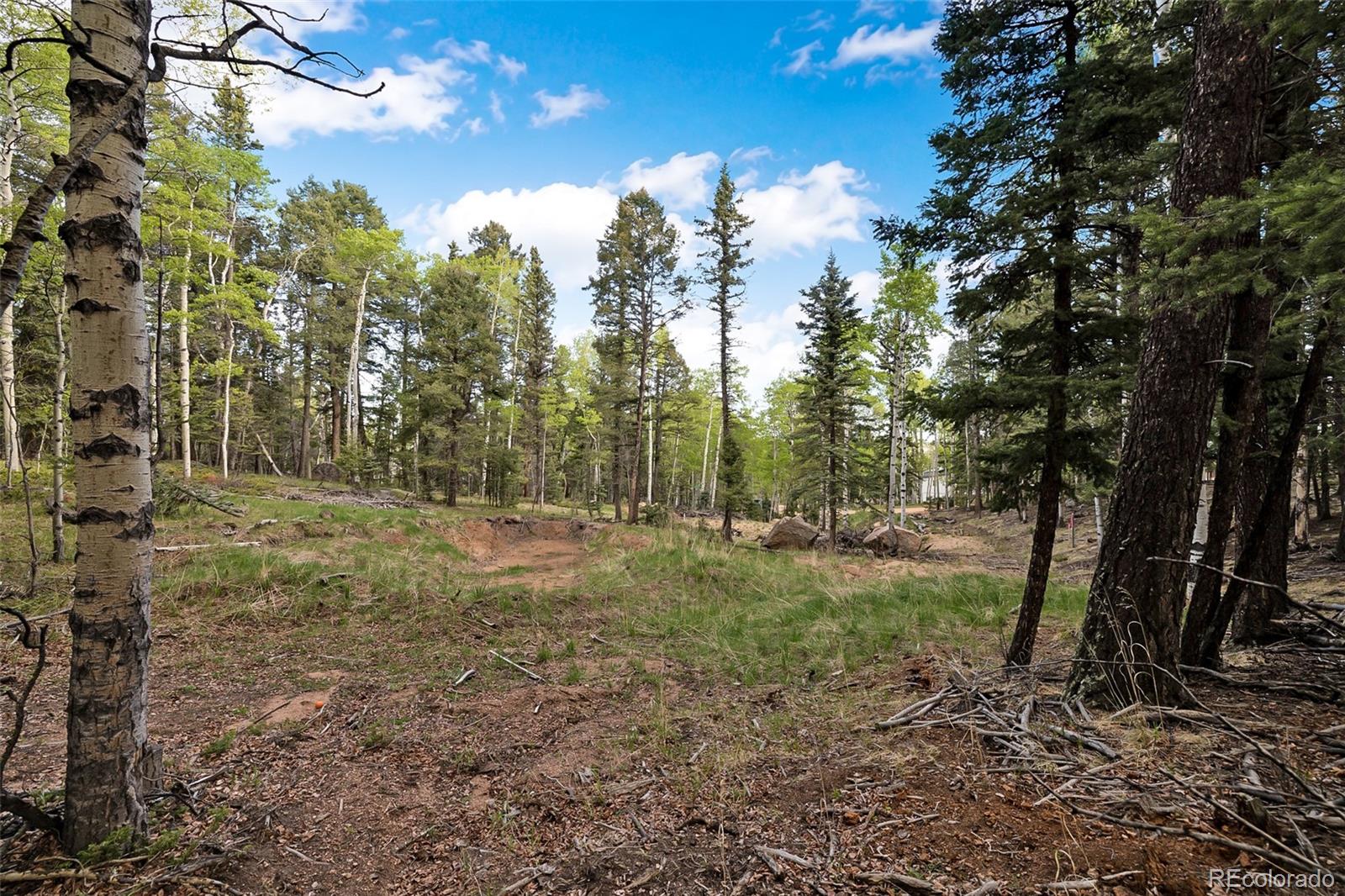 714 Will Stutley Drive Divide CO 80814