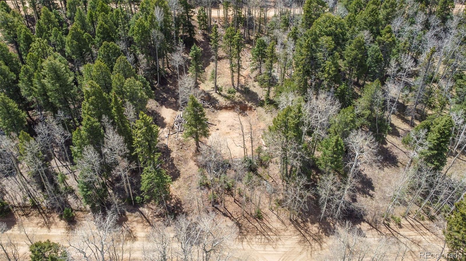 714 Will Stutley Drive Divide CO 80814