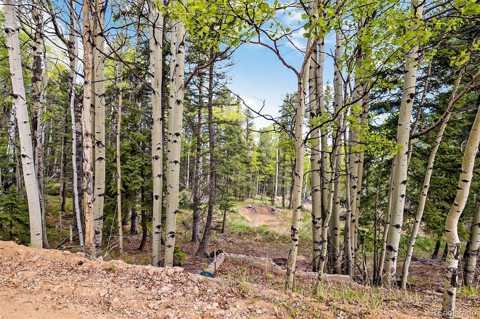 714 Will Stutley Drive Divide CO 80814