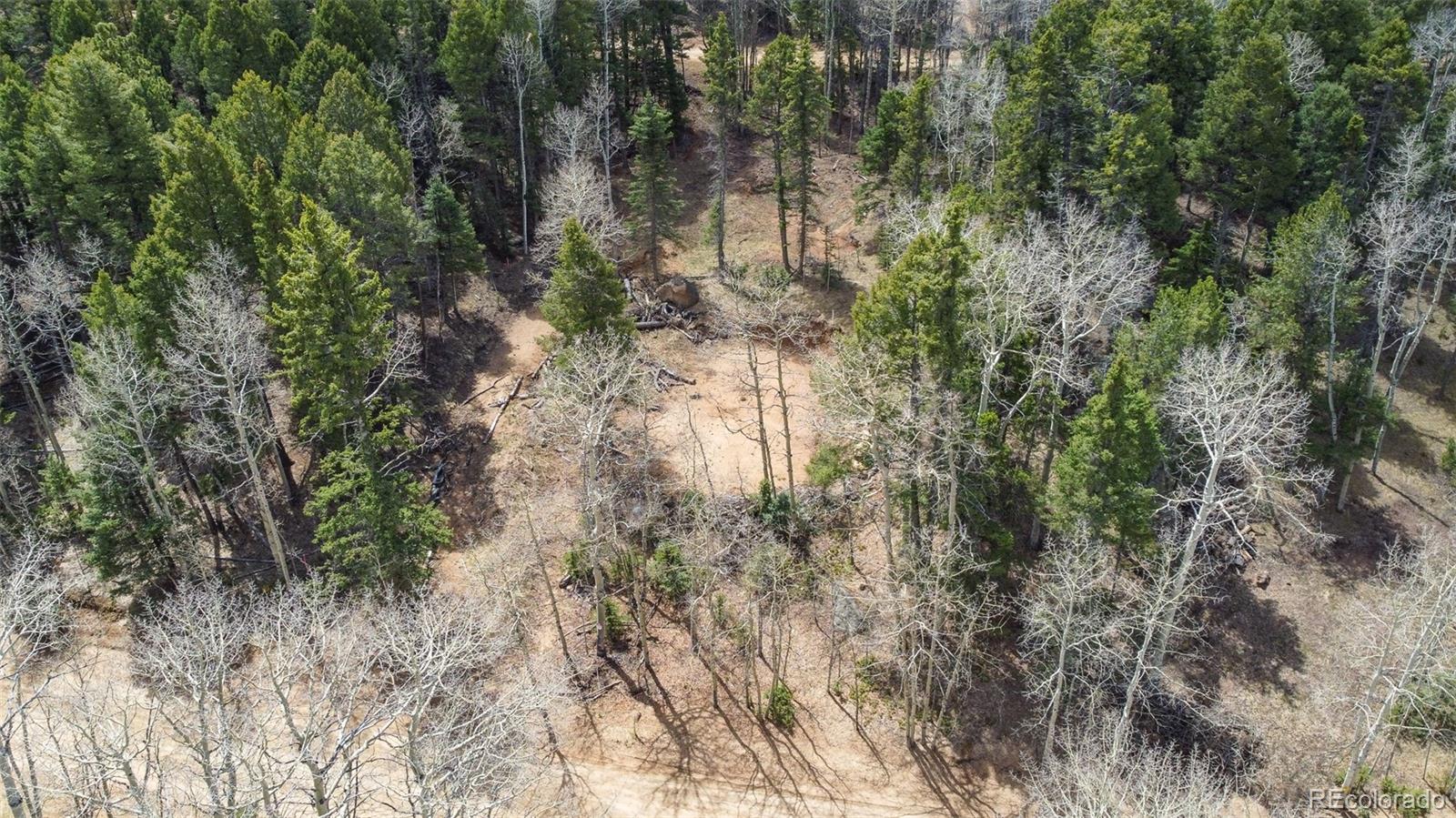 714 Will Stutley Drive Divide CO 80814