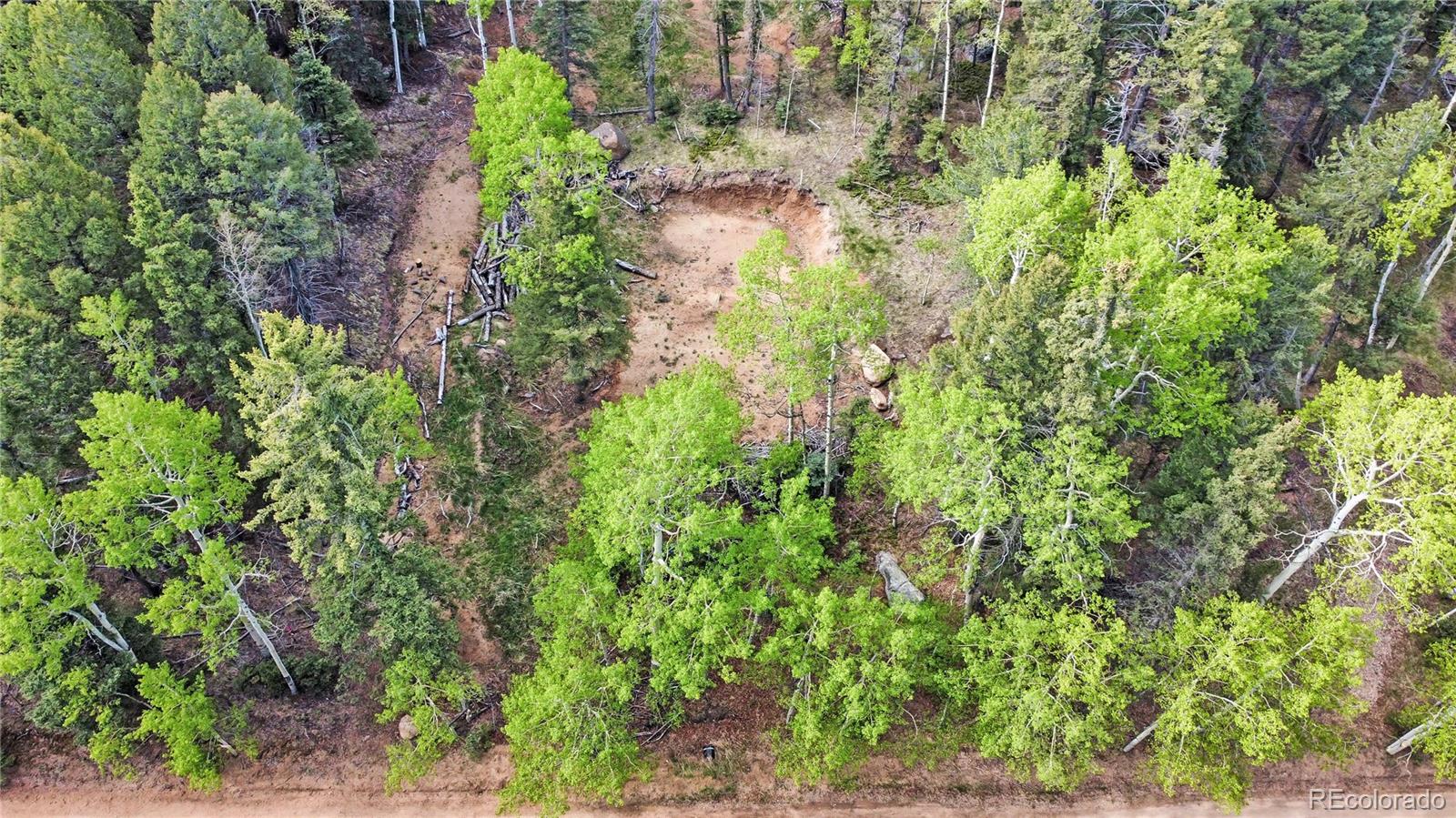 714 Will Stutley Drive Divide CO 80814