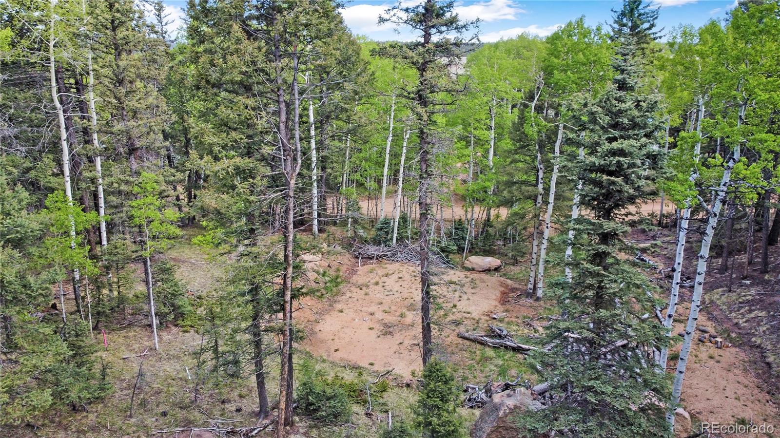 714 Will Stutley Drive Divide CO 80814