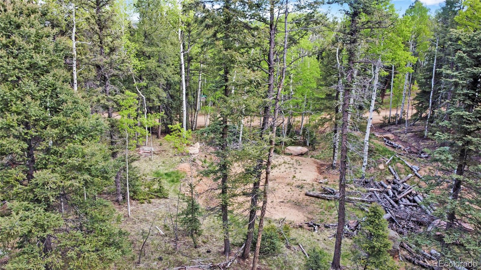 714 Will Stutley Drive Divide CO 80814