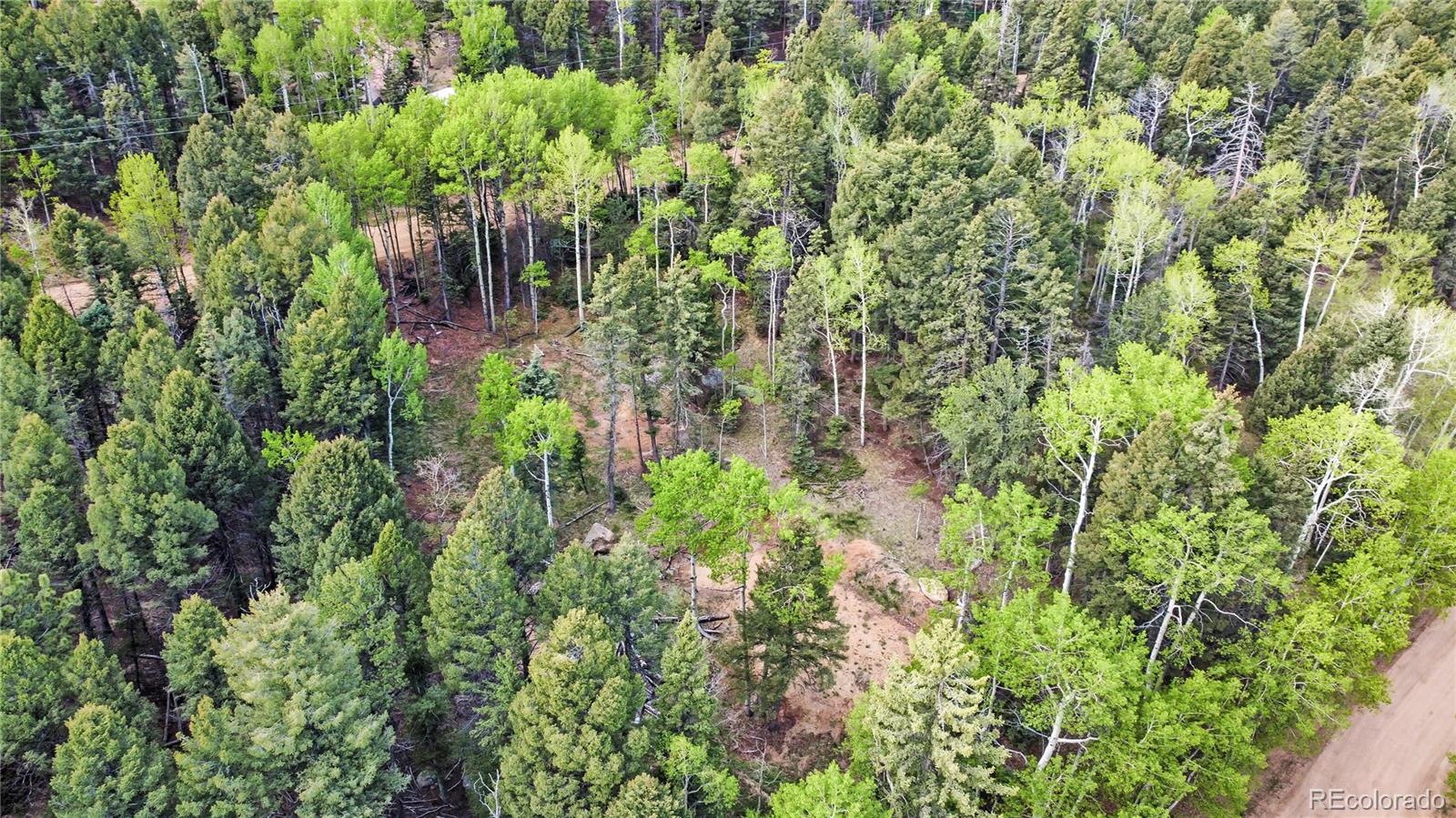 714 Will Stutley Drive Divide CO 80814