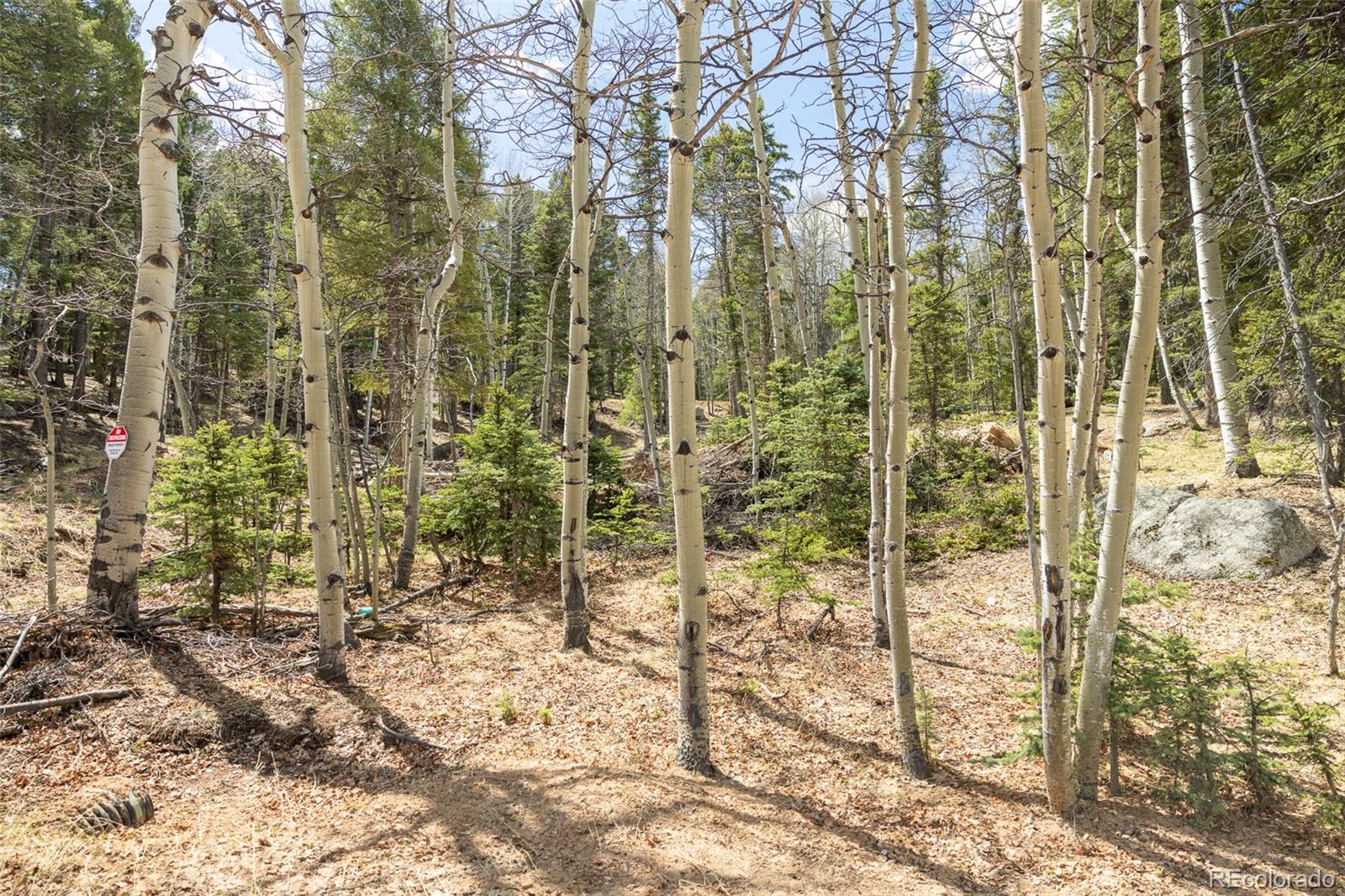 714 Will Stutley Drive Divide CO 80814