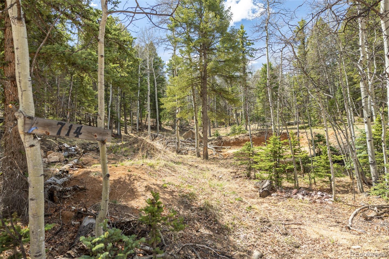 714 Will Stutley Drive Divide CO 80814
