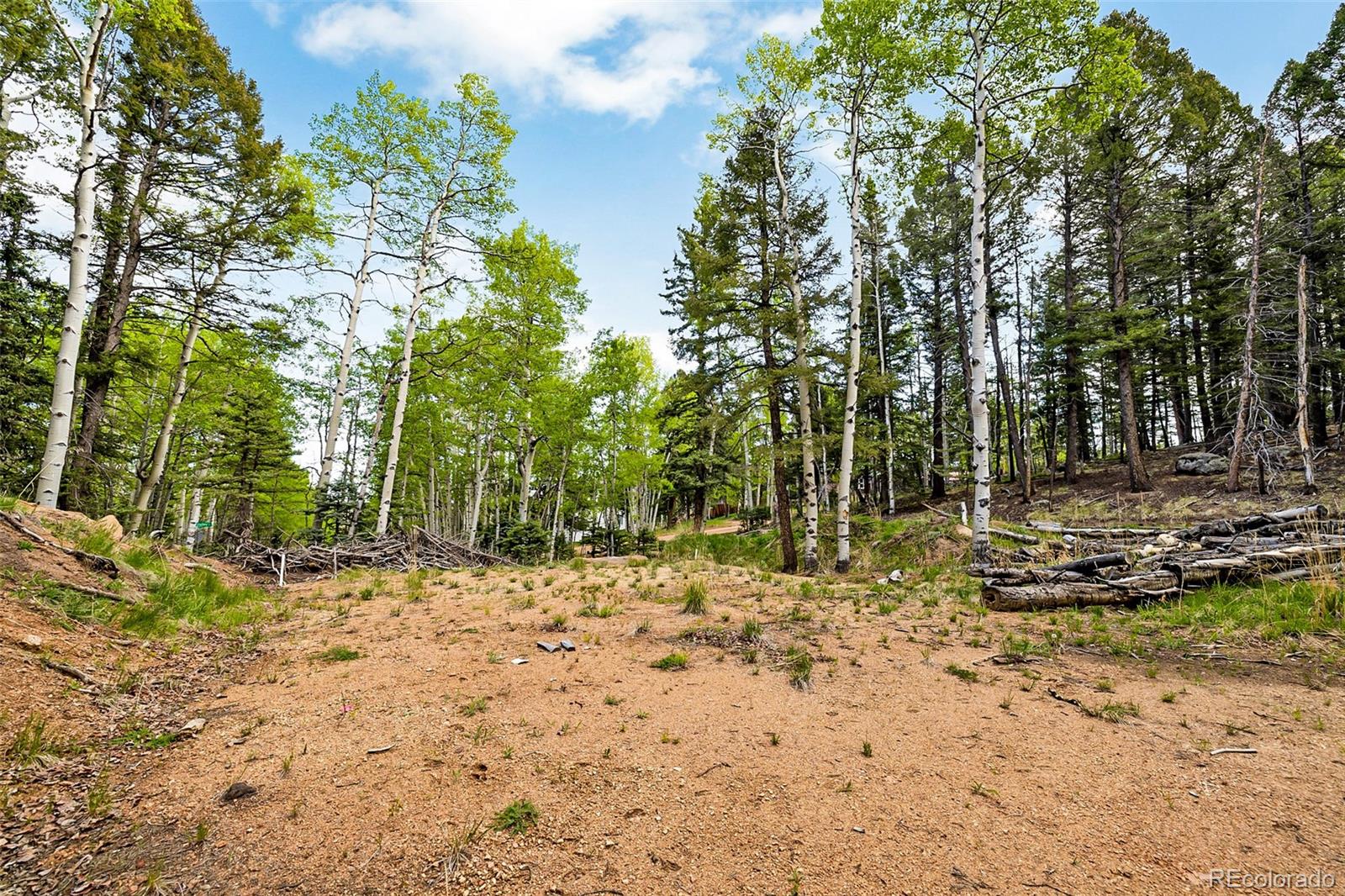 714 Will Stutley Drive Divide CO 80814