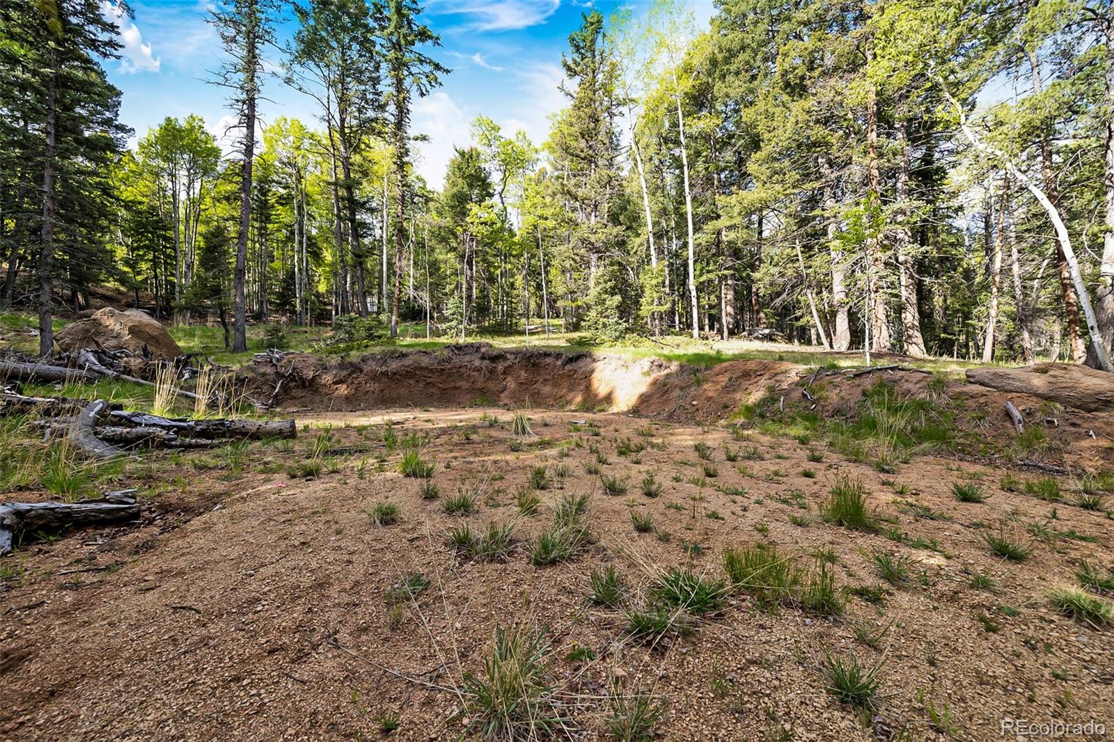 714 Will Stutley Drive Divide CO 80814