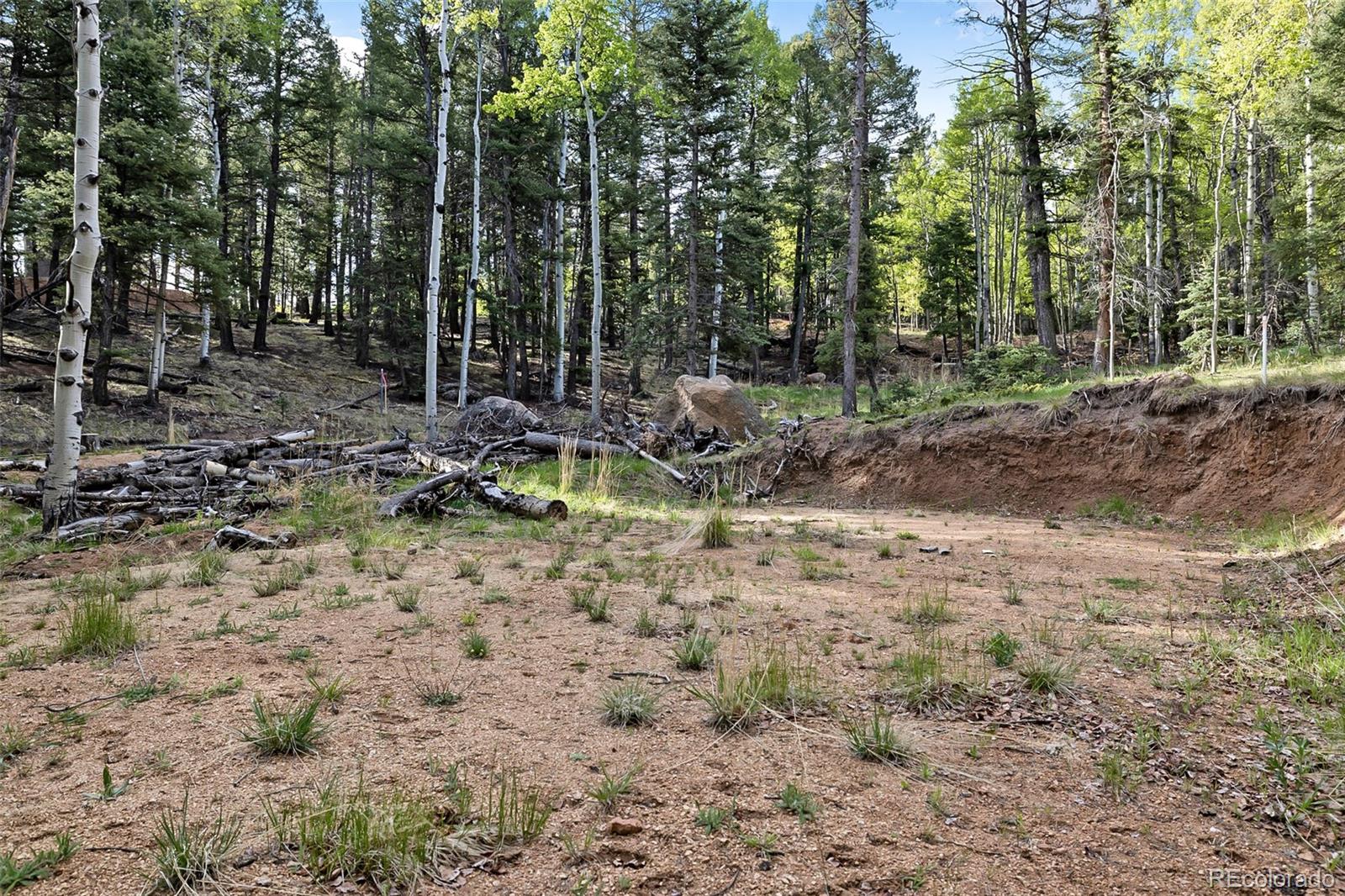 714 Will Stutley Drive Divide CO 80814