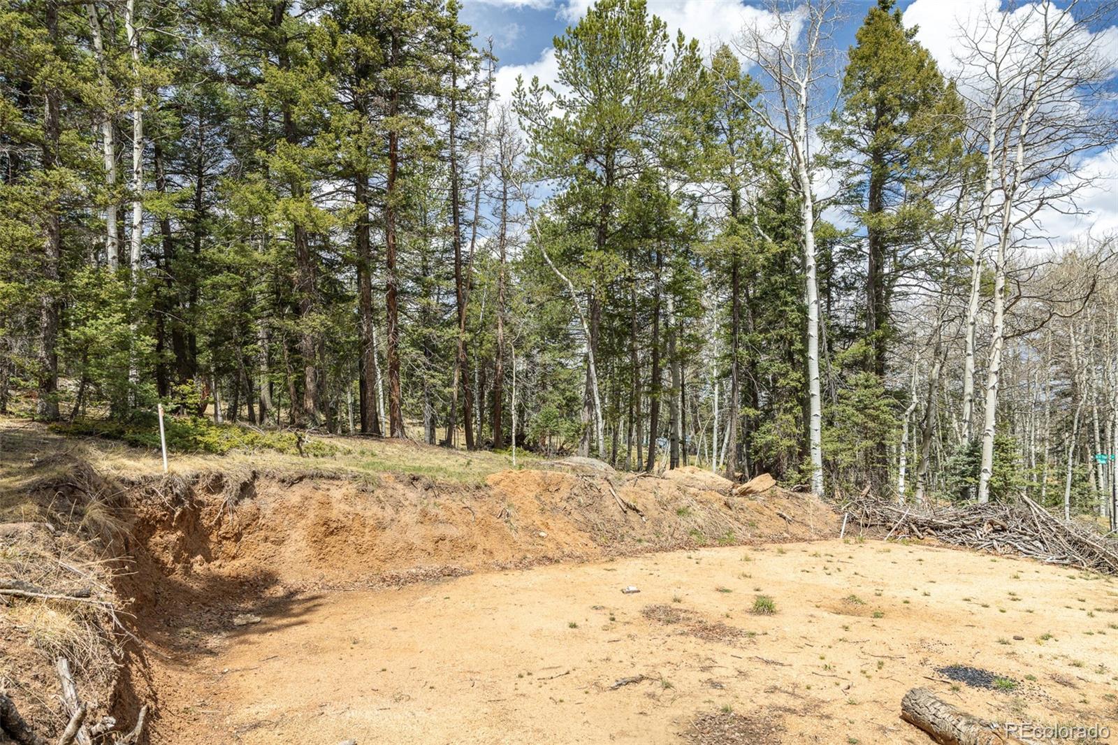 714 Will Stutley Drive Divide CO 80814