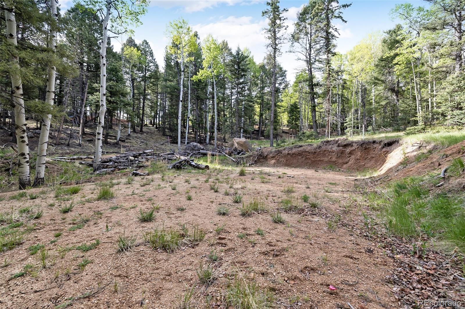 714 Will Stutley Drive Divide CO 80814