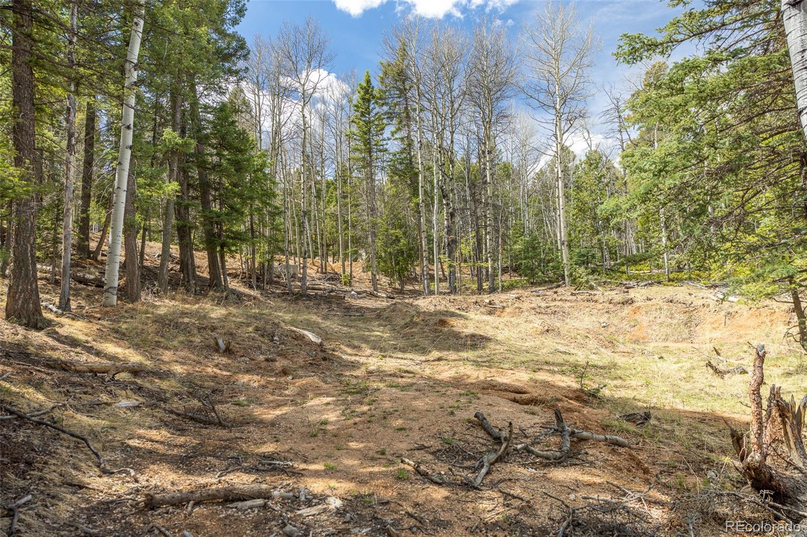 714 Will Stutley Drive Divide CO 80814
