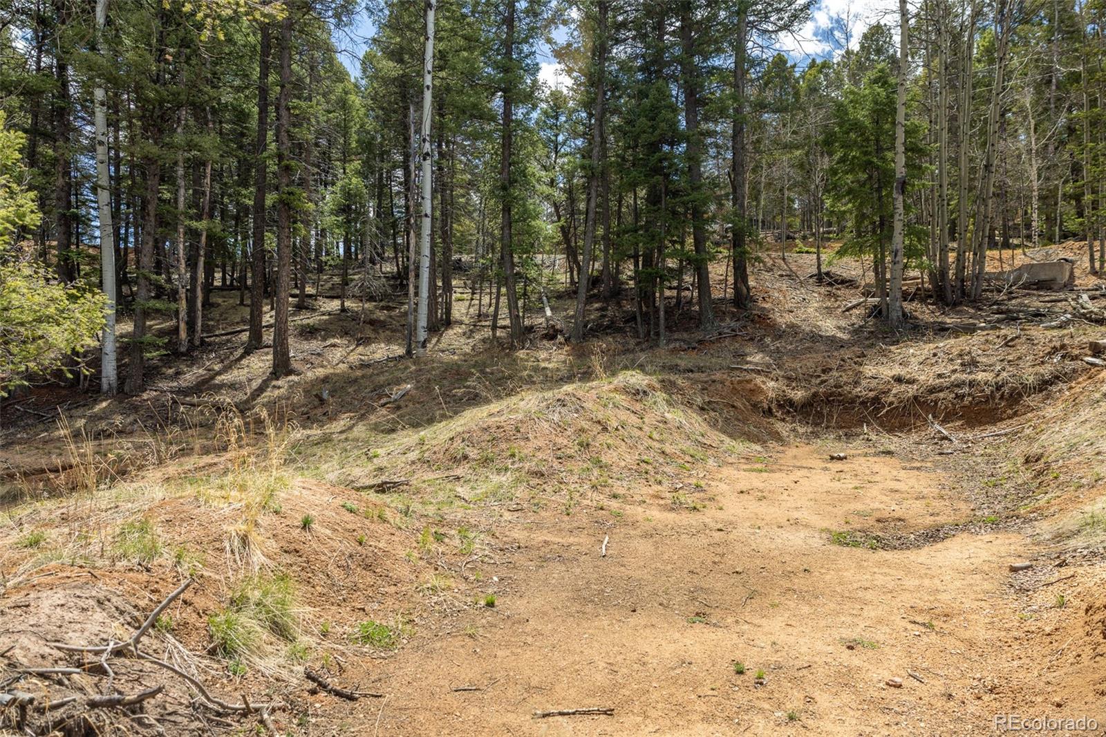 714 Will Stutley Drive Divide CO 80814
