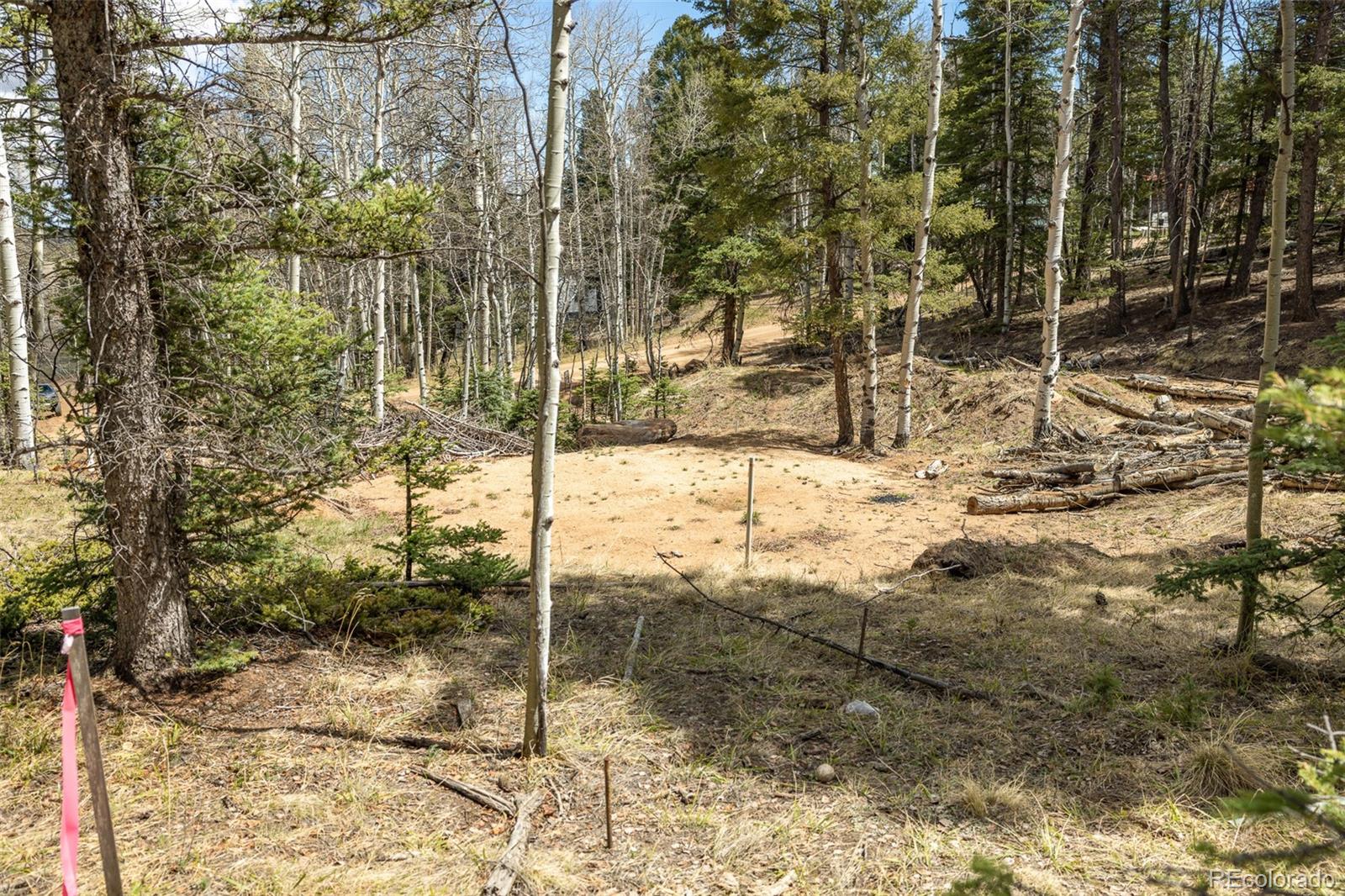 714 Will Stutley Drive Divide CO 80814