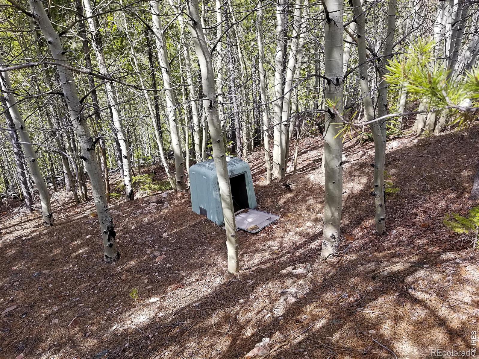 3200 Ottawa Way Red Feather Lakes CO 80545