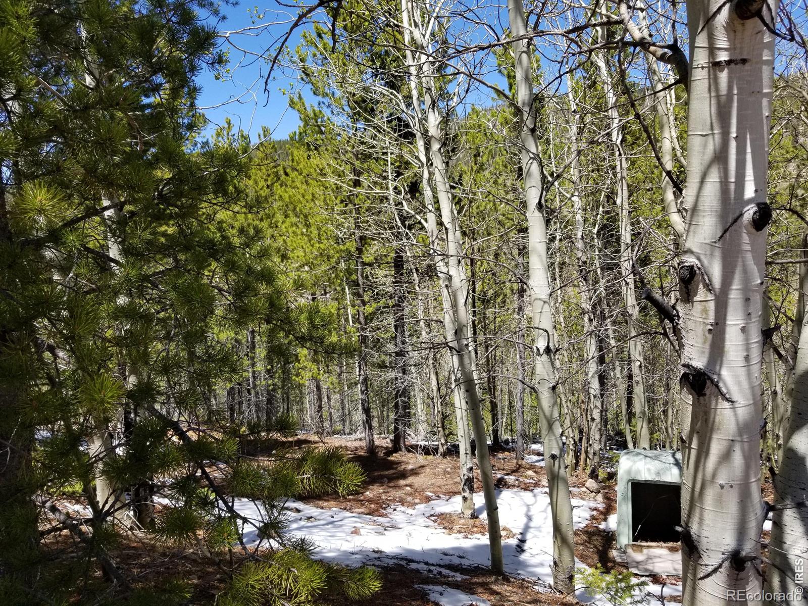 3200 Ottawa Way Red Feather Lakes CO 80545