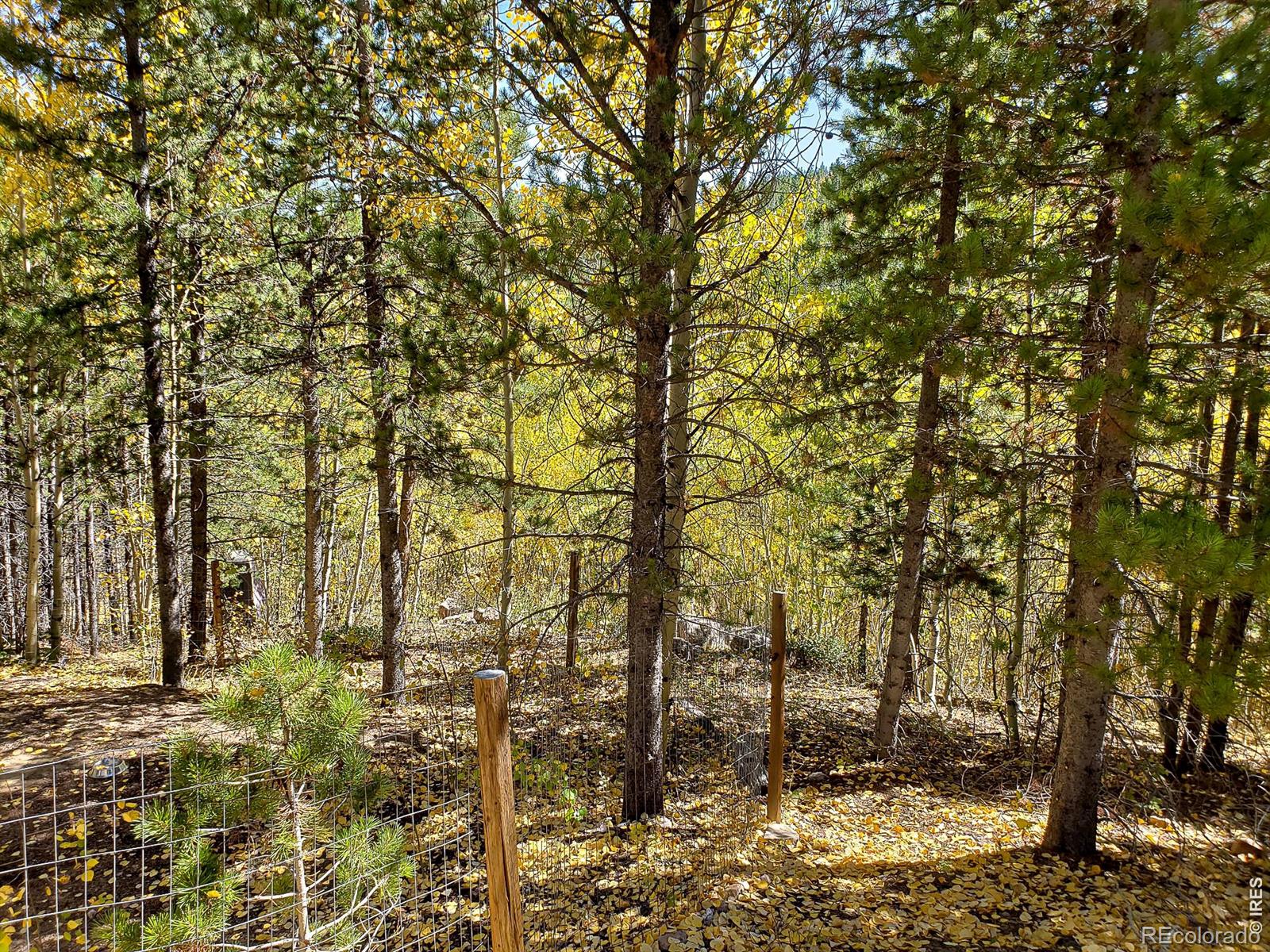 3200 Ottawa Way Red Feather Lakes CO 80545