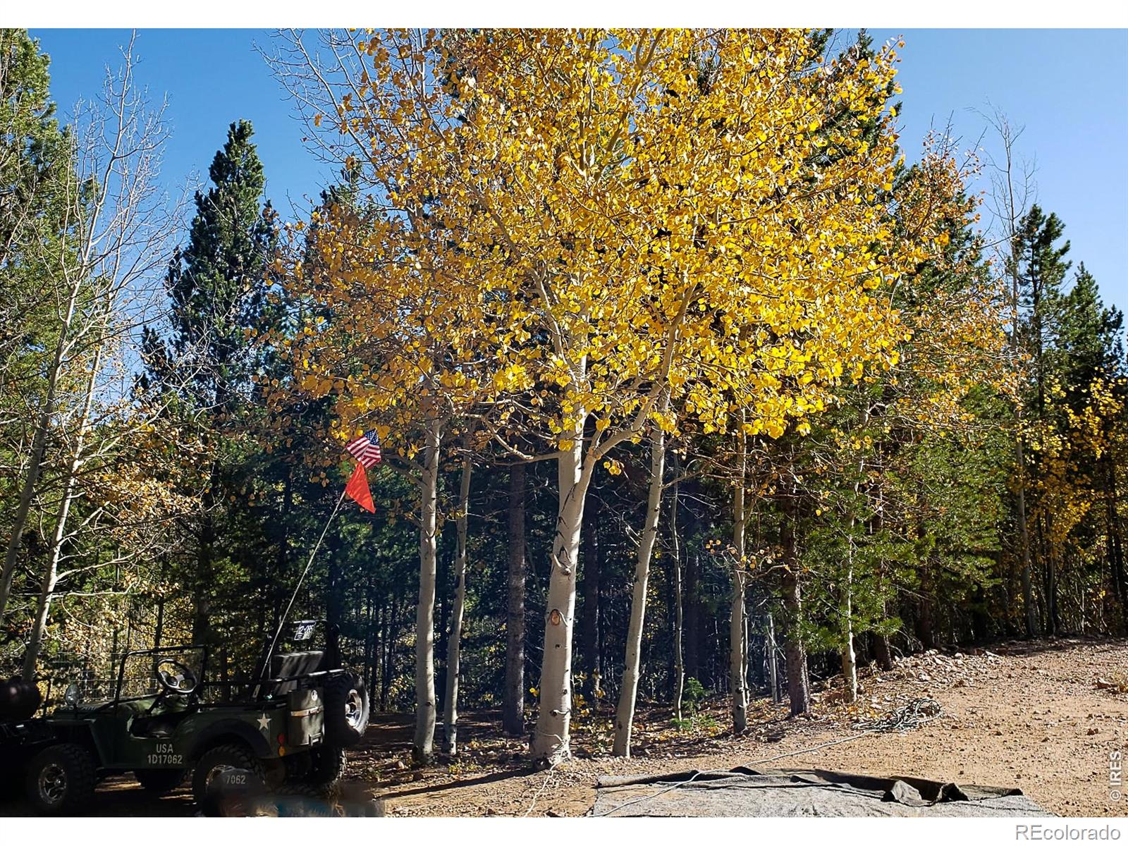 3200 Ottawa Way Red Feather Lakes CO 80545