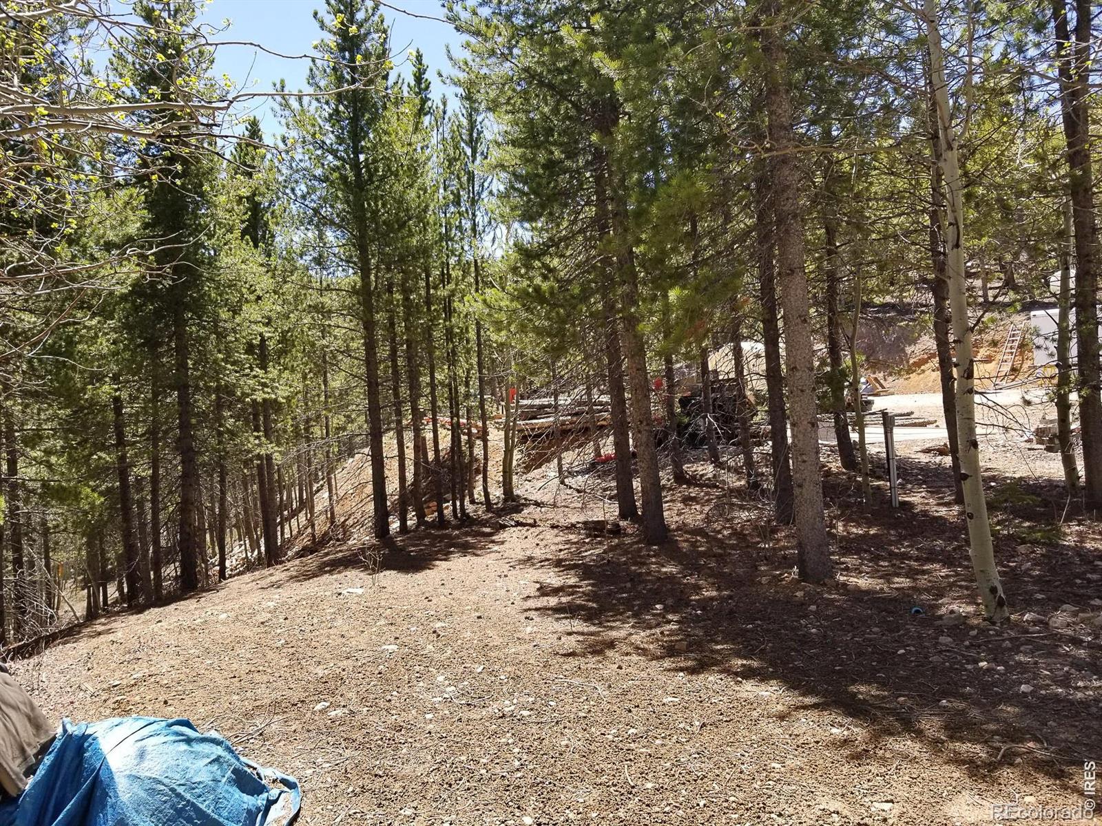 3200 Ottawa Way Red Feather Lakes CO 80545