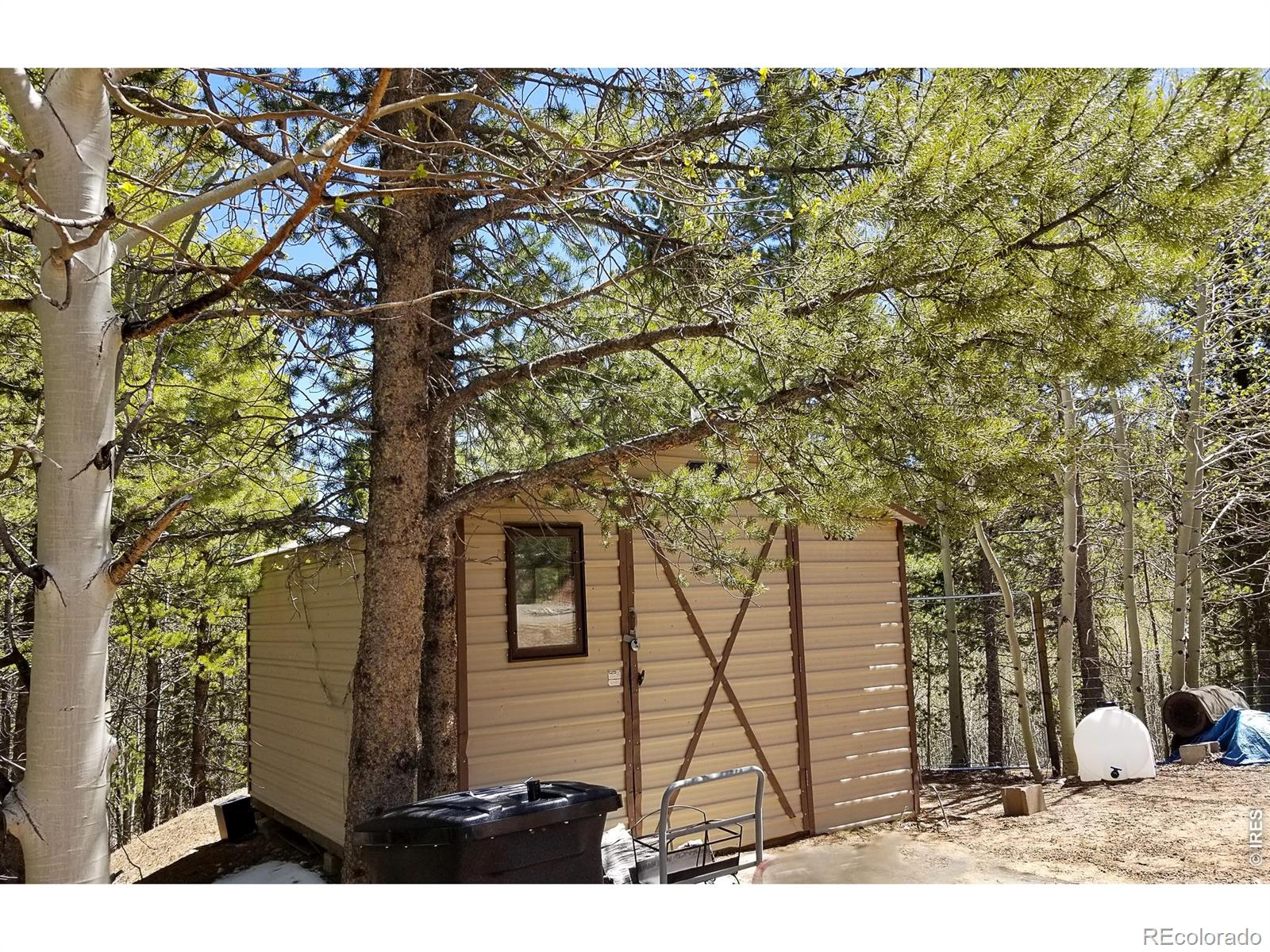 3200 Ottawa Way Red Feather Lakes CO 80545