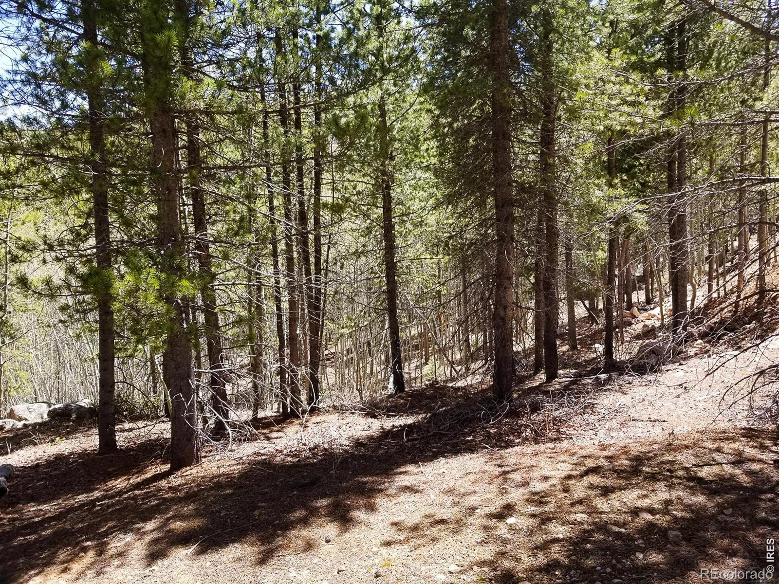 3200 Ottawa Way Red Feather Lakes CO 80545