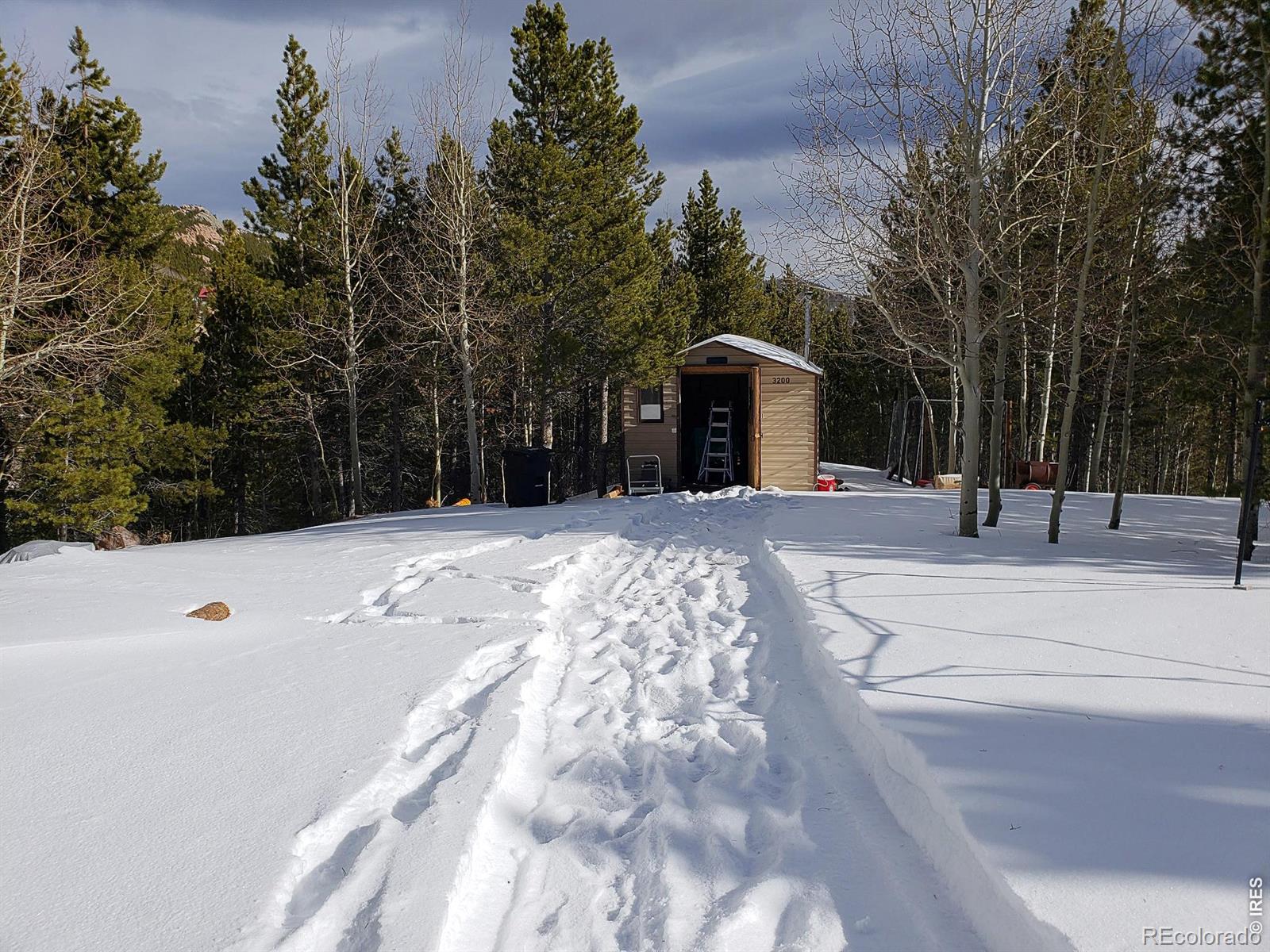 3200 Ottawa Way Red Feather Lakes CO 80545