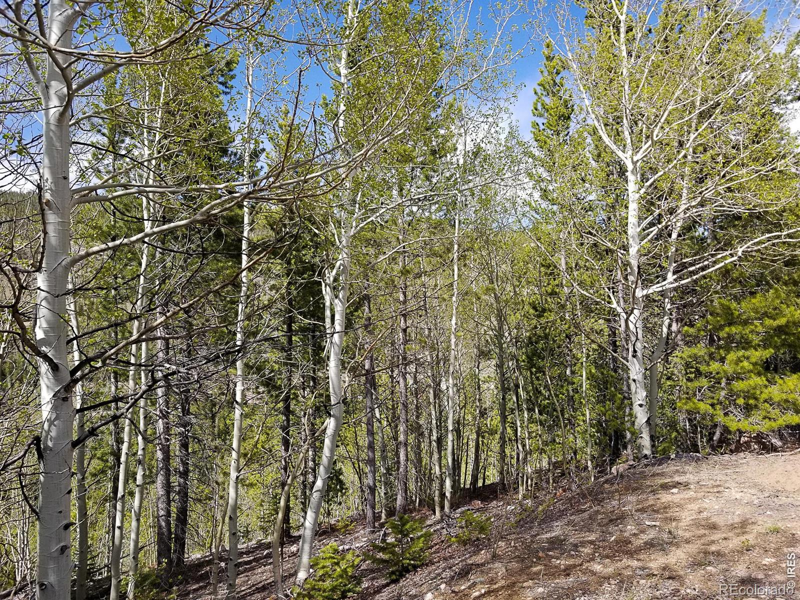 3200 Ottawa Way Red Feather Lakes CO 80545