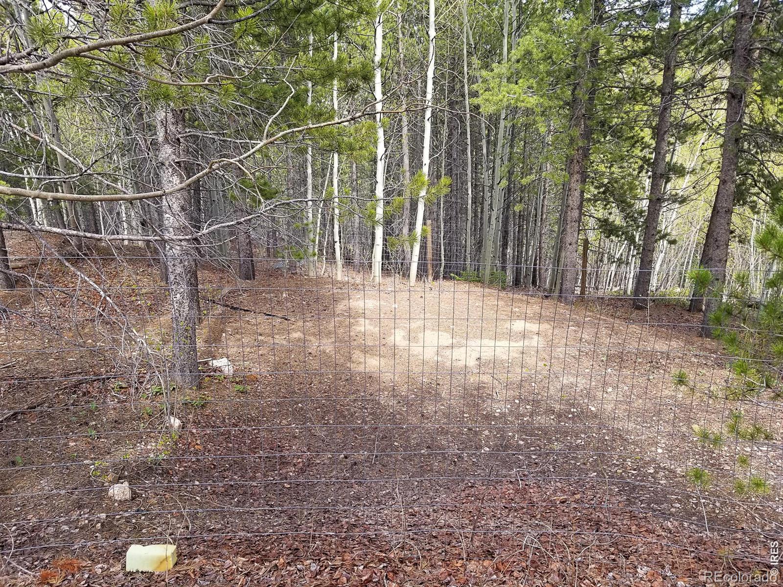 3200 Ottawa Way Red Feather Lakes CO 80545
