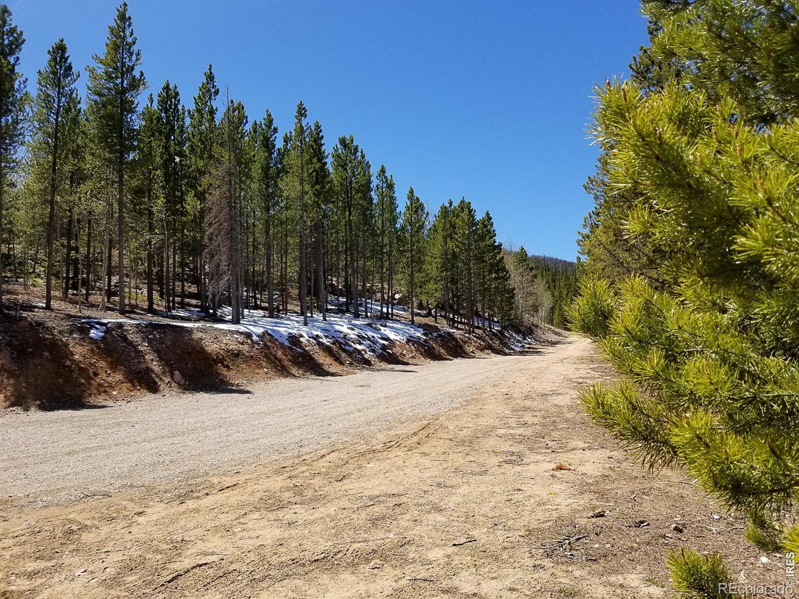 3200 Ottawa Way Red Feather Lakes CO 80545