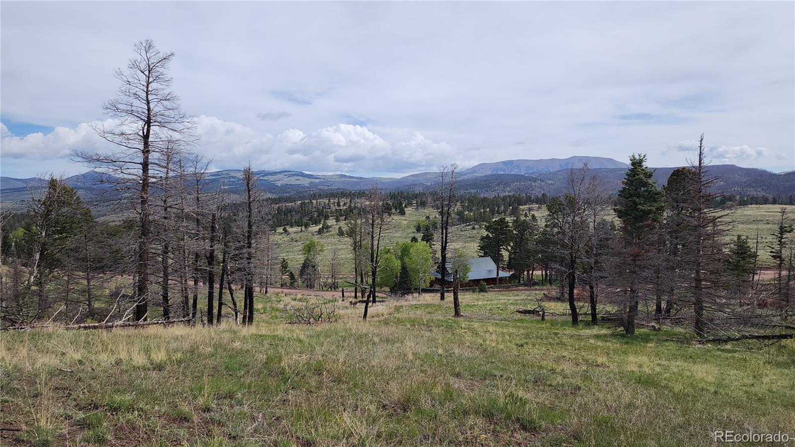 449 Duckworth Drive Fort Garland CO 81133