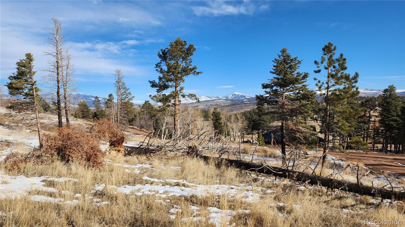 449 Duckworth Drive Fort Garland CO 81133