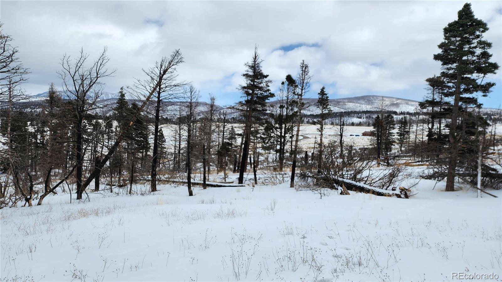 449 Duckworth Drive Fort Garland CO 81133