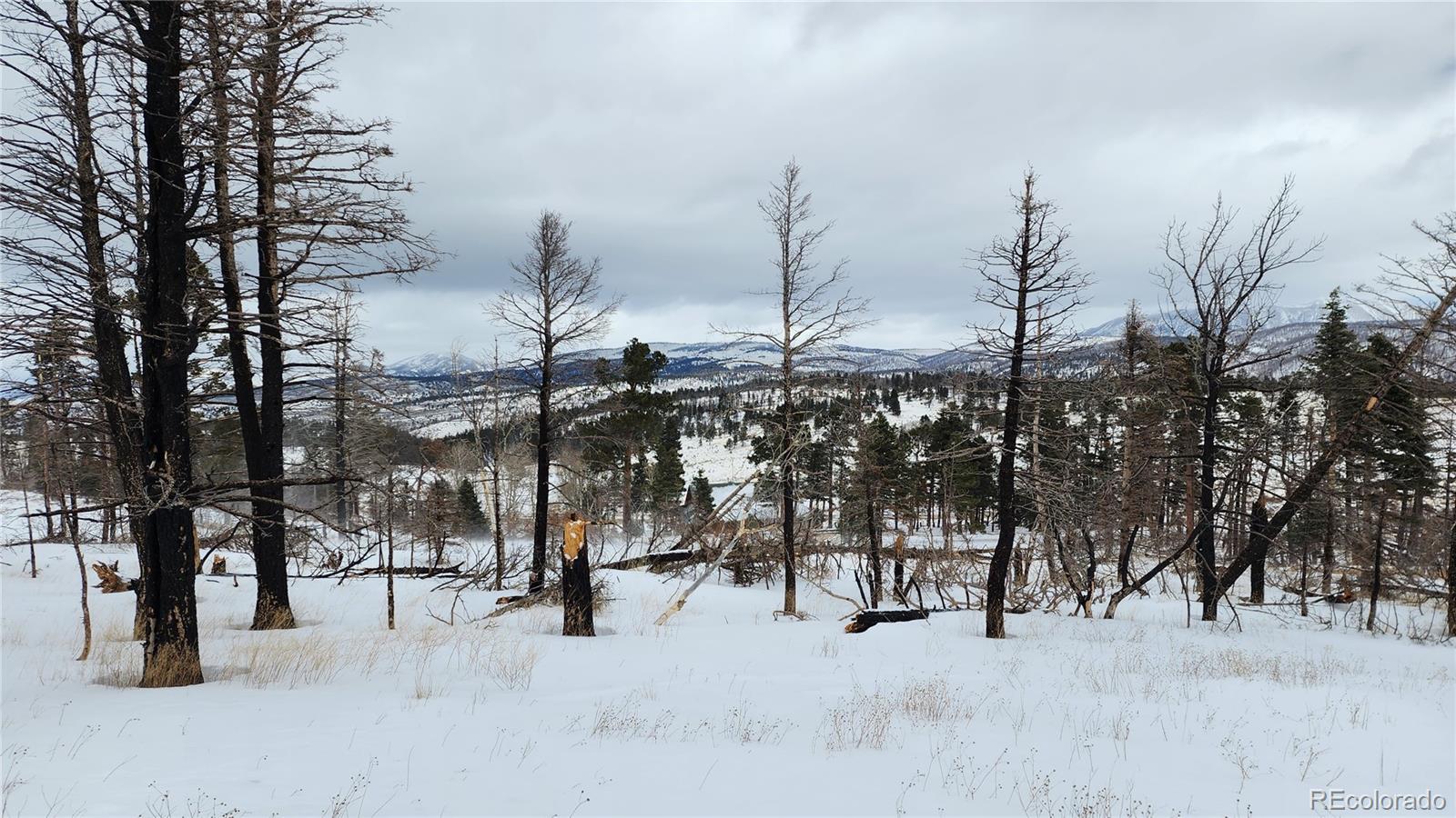 449 Duckworth Drive Fort Garland CO 81133