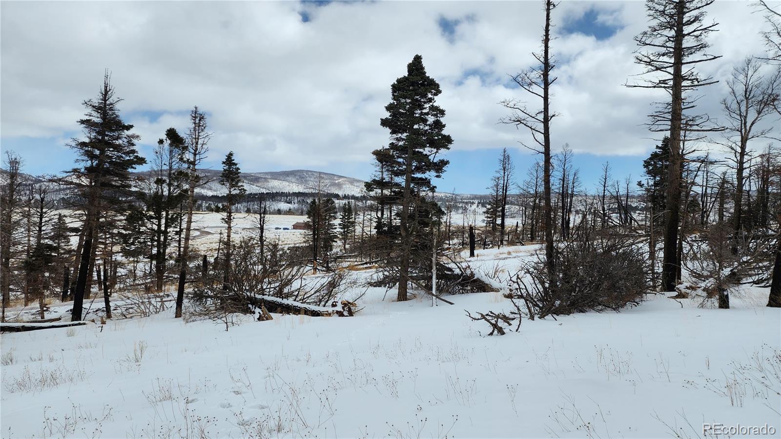 449 Duckworth Drive Fort Garland CO 81133
