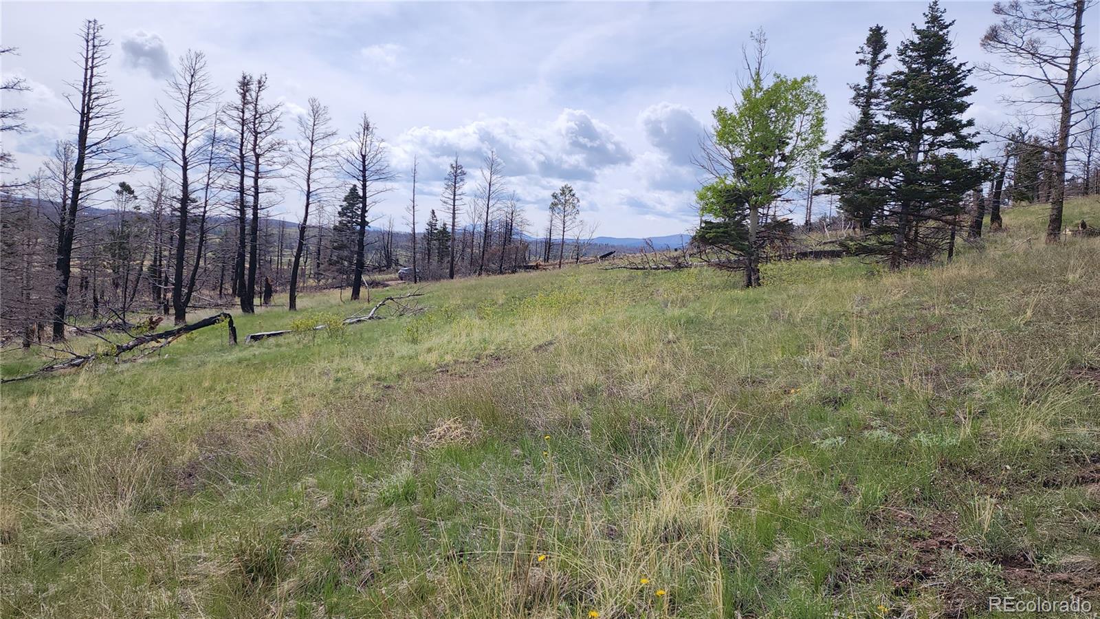 449 Duckworth Drive Fort Garland CO 81133