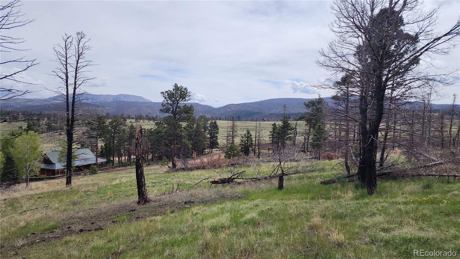 449 Duckworth Drive Fort Garland CO 81133