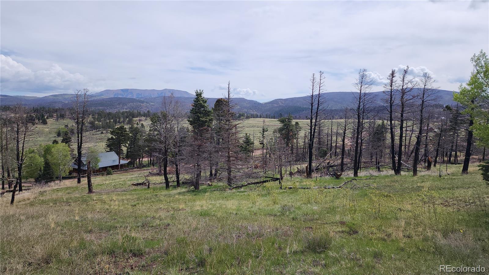 449 Duckworth Drive Fort Garland CO 81133
