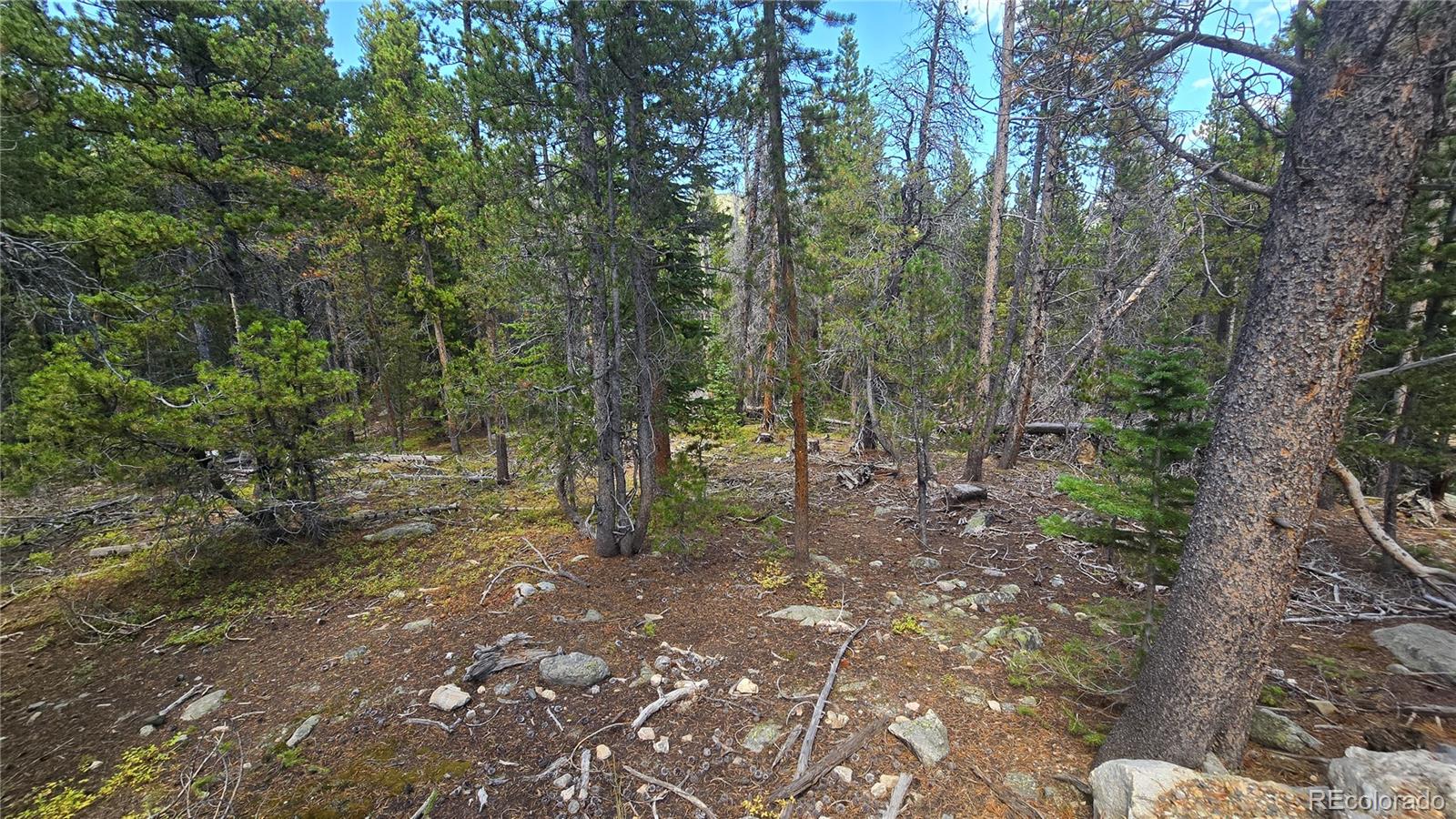 Alice Road Idaho Springs CO 80444