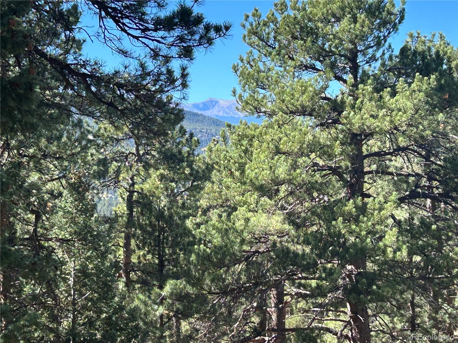 0 White House Evergreen CO 80439