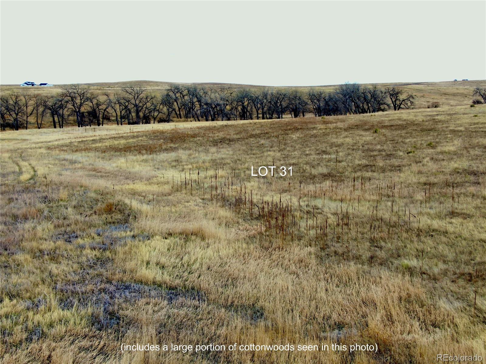 0 Happiness Trail Lot 31 Kiowa CO 80117