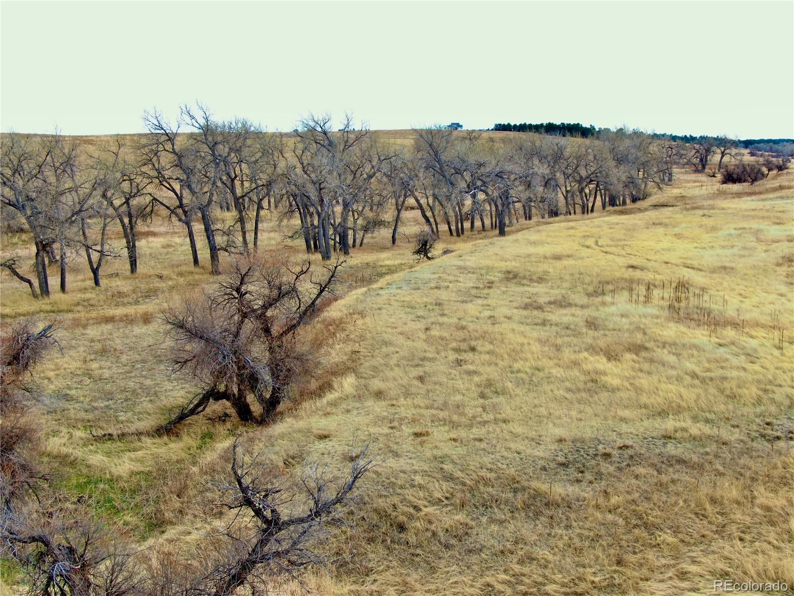 0 Happiness Trail Lot 31 Kiowa CO 80117