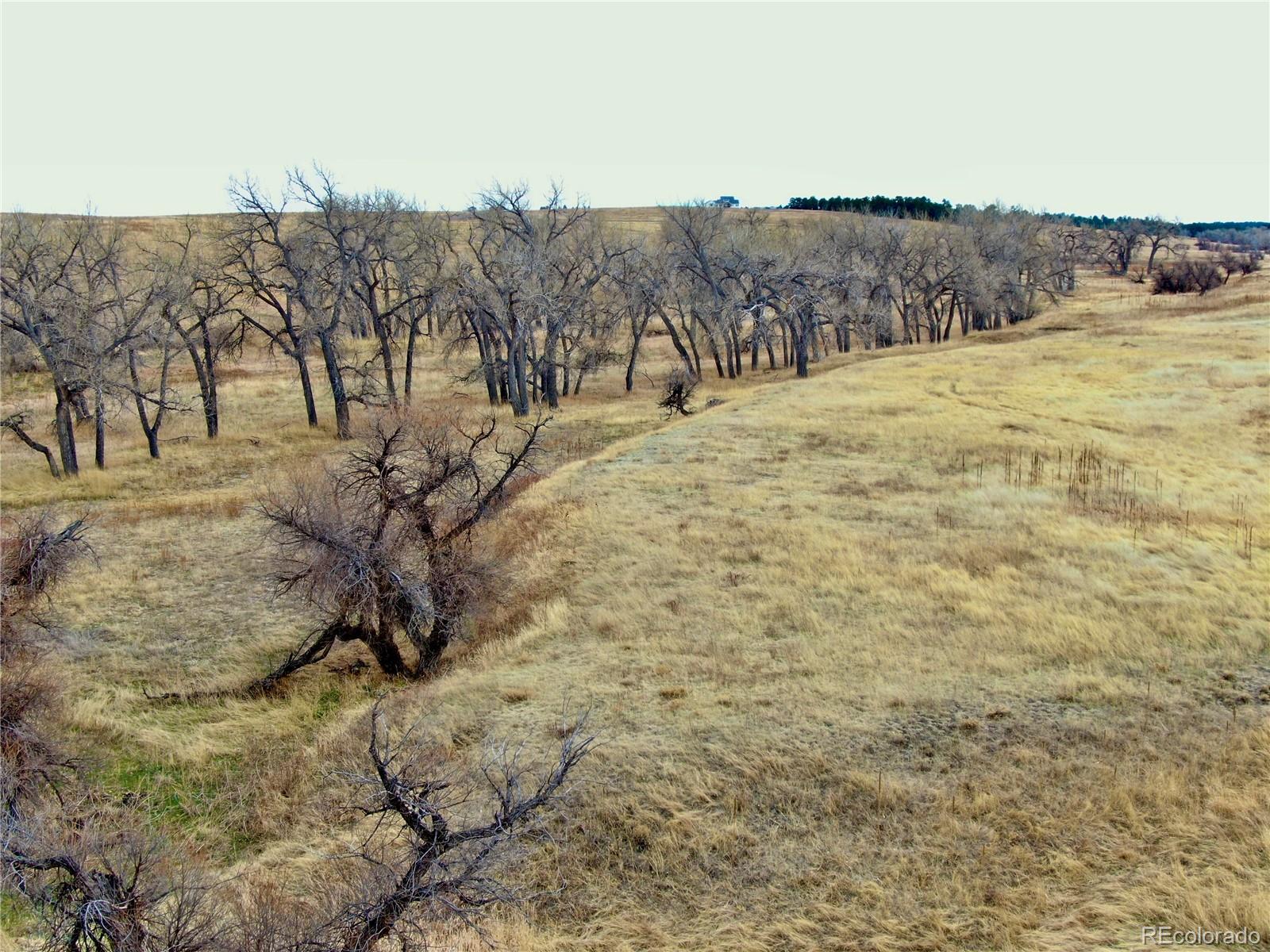 0 Happiness Trail Lot 31 Kiowa CO 80117